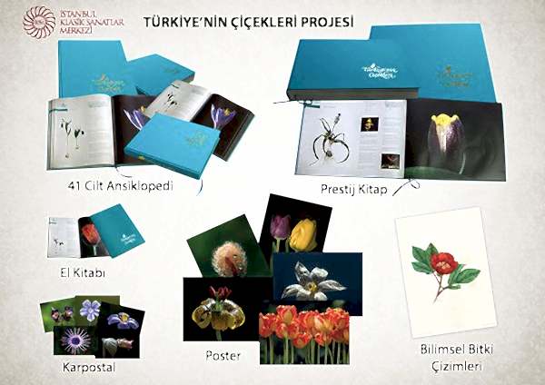 Türkiye'nin Çiçekleri